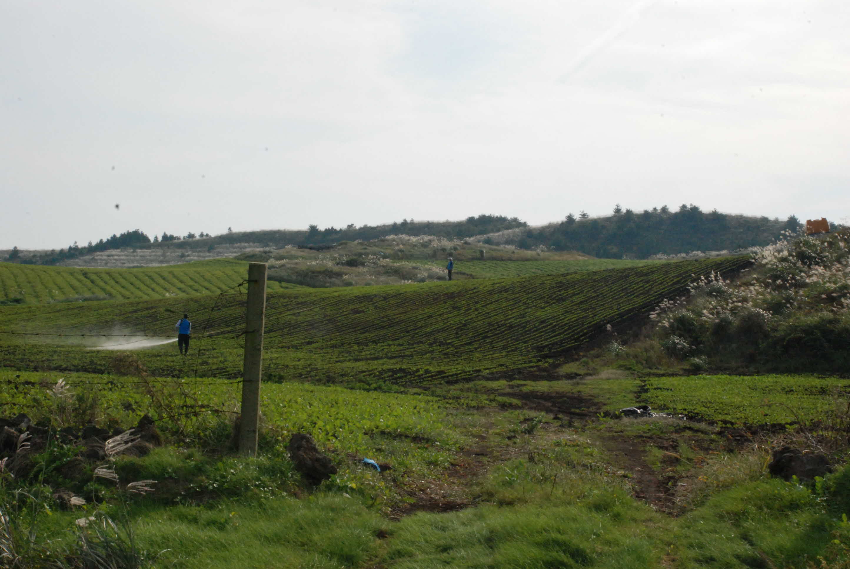 농촌지도사업 홍보요원 교육1