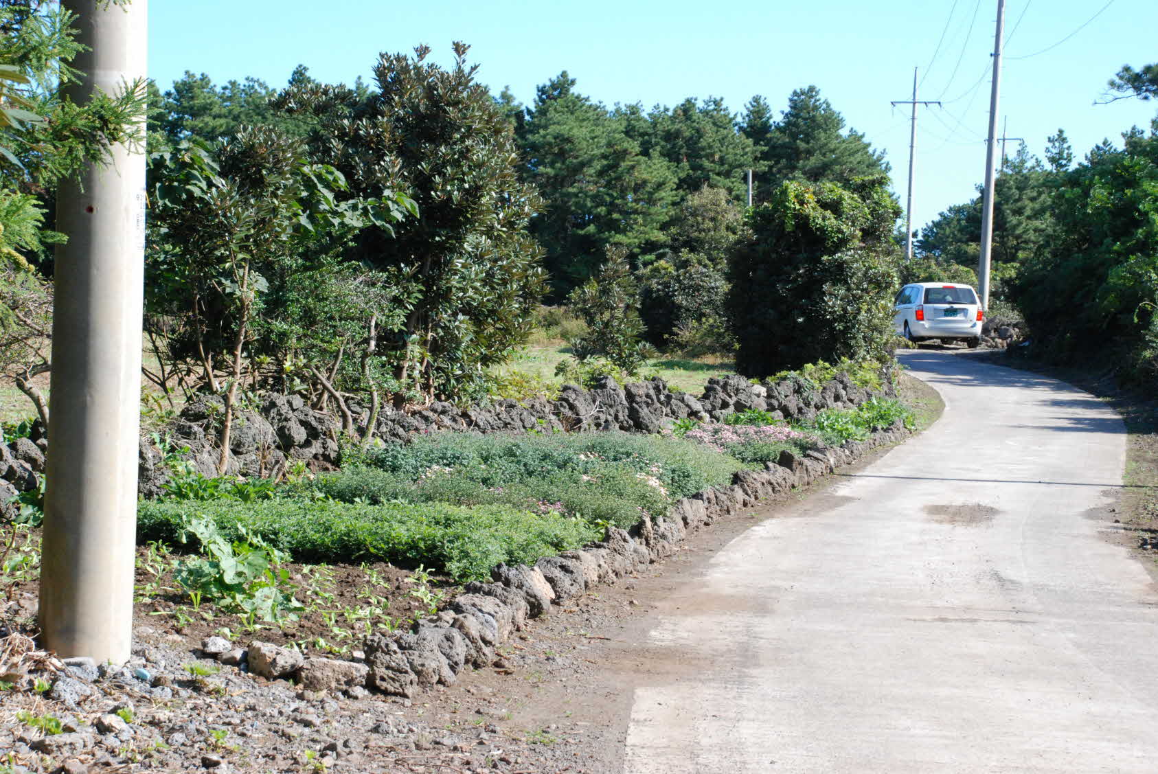 올레 꽃길 조성 현장