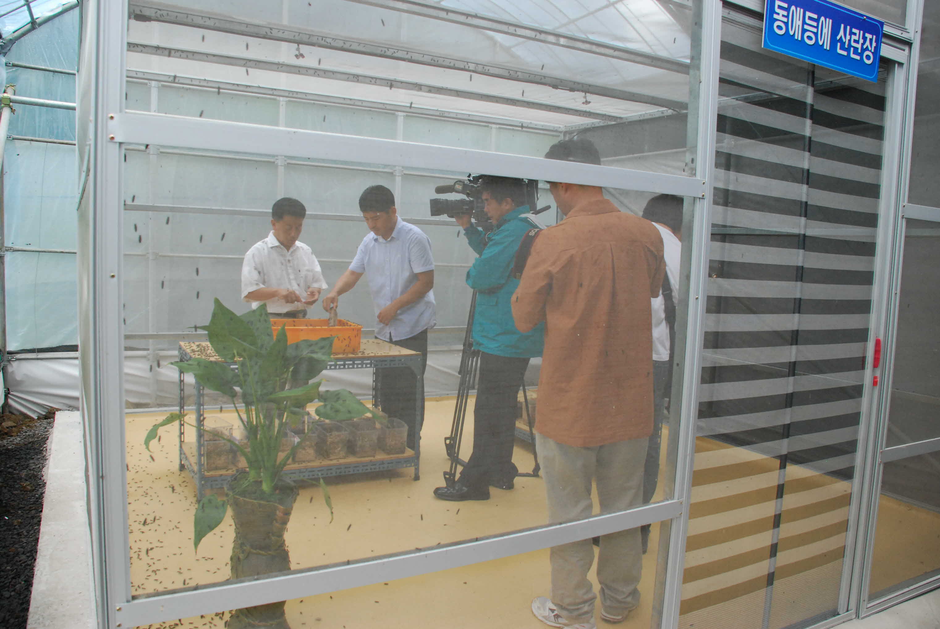 동애등에 촬영현장...