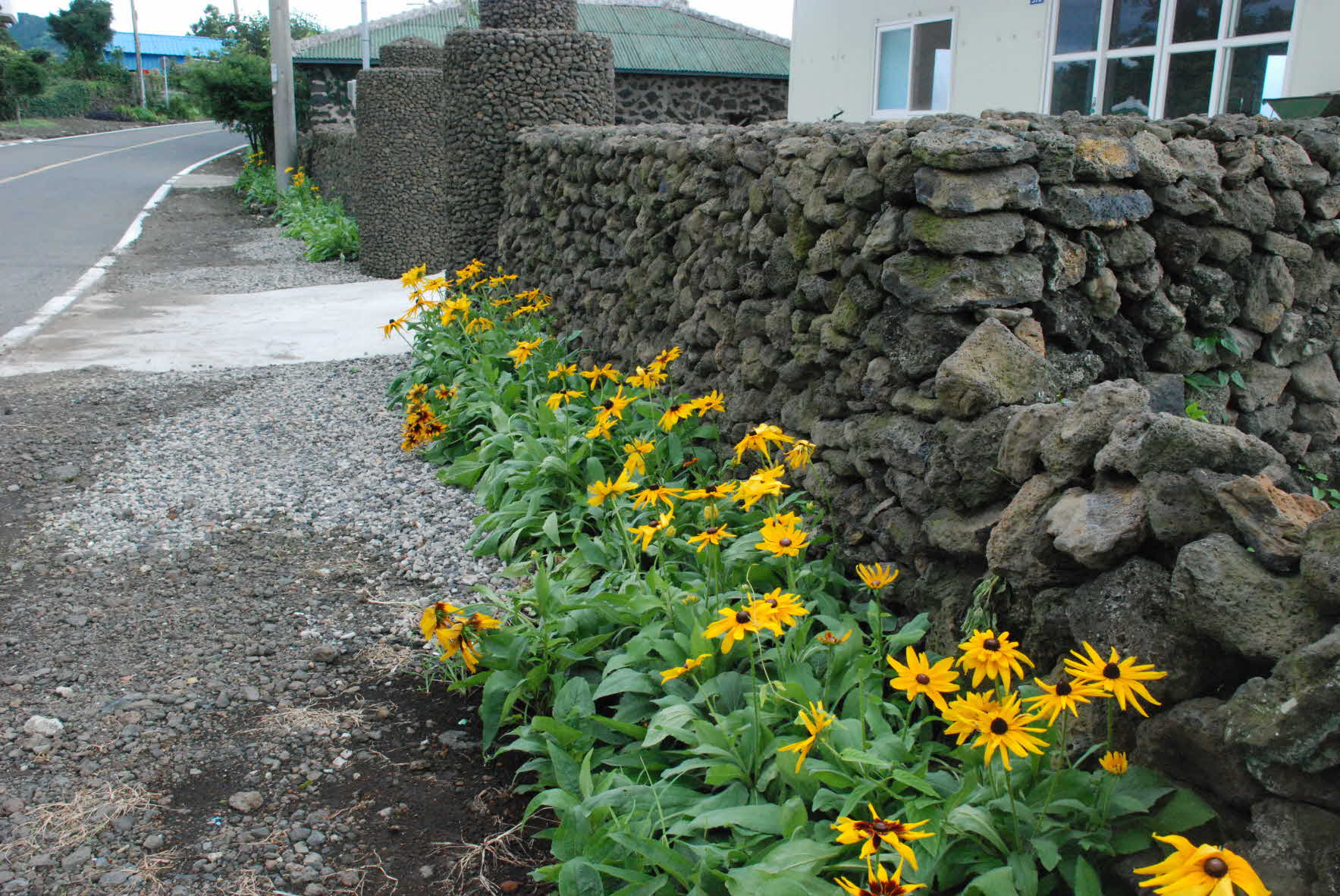 푸른농촌 희망찾기