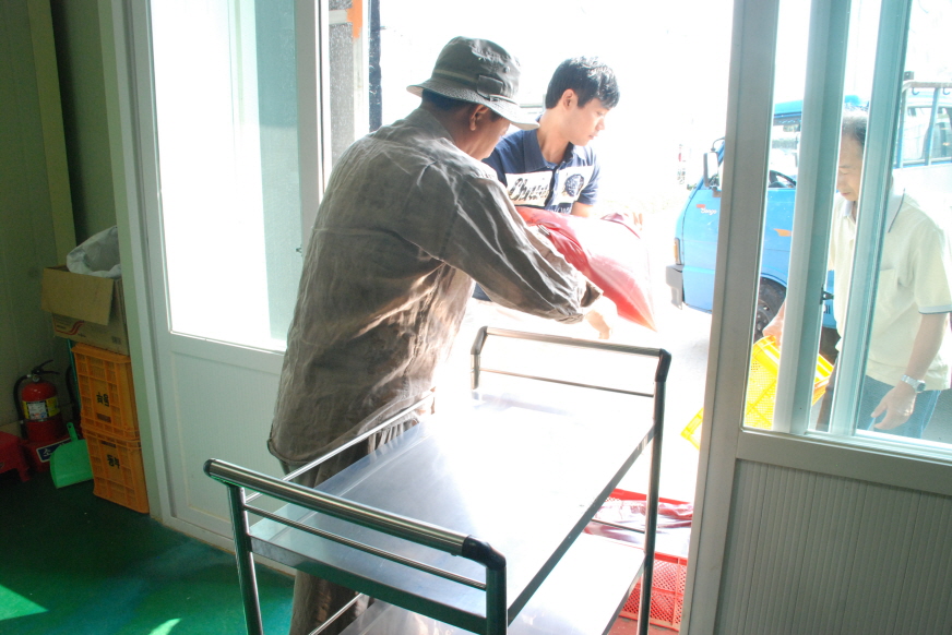 오늘은 미생물 분양하는 날!!