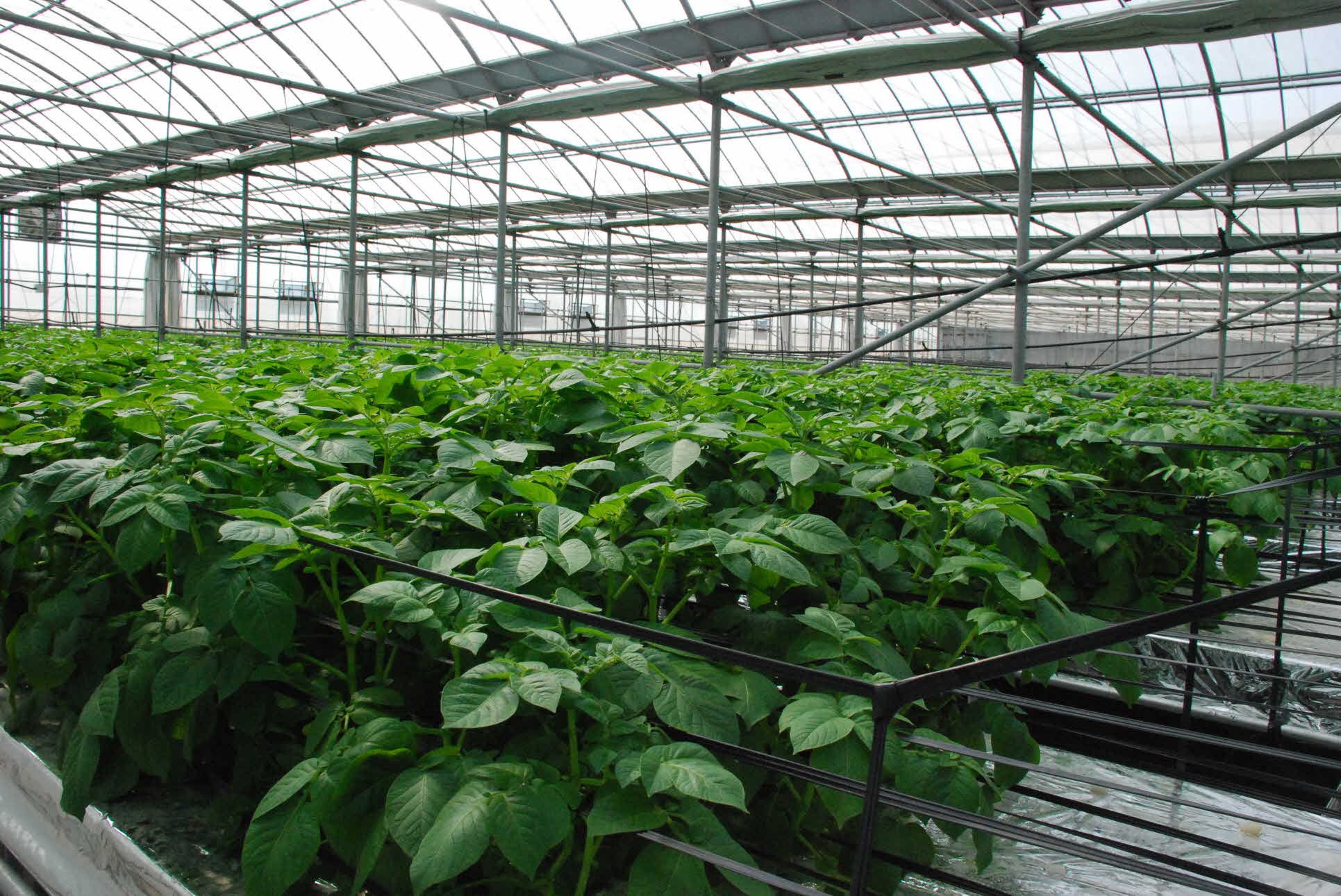 도내 농업현장 견학2