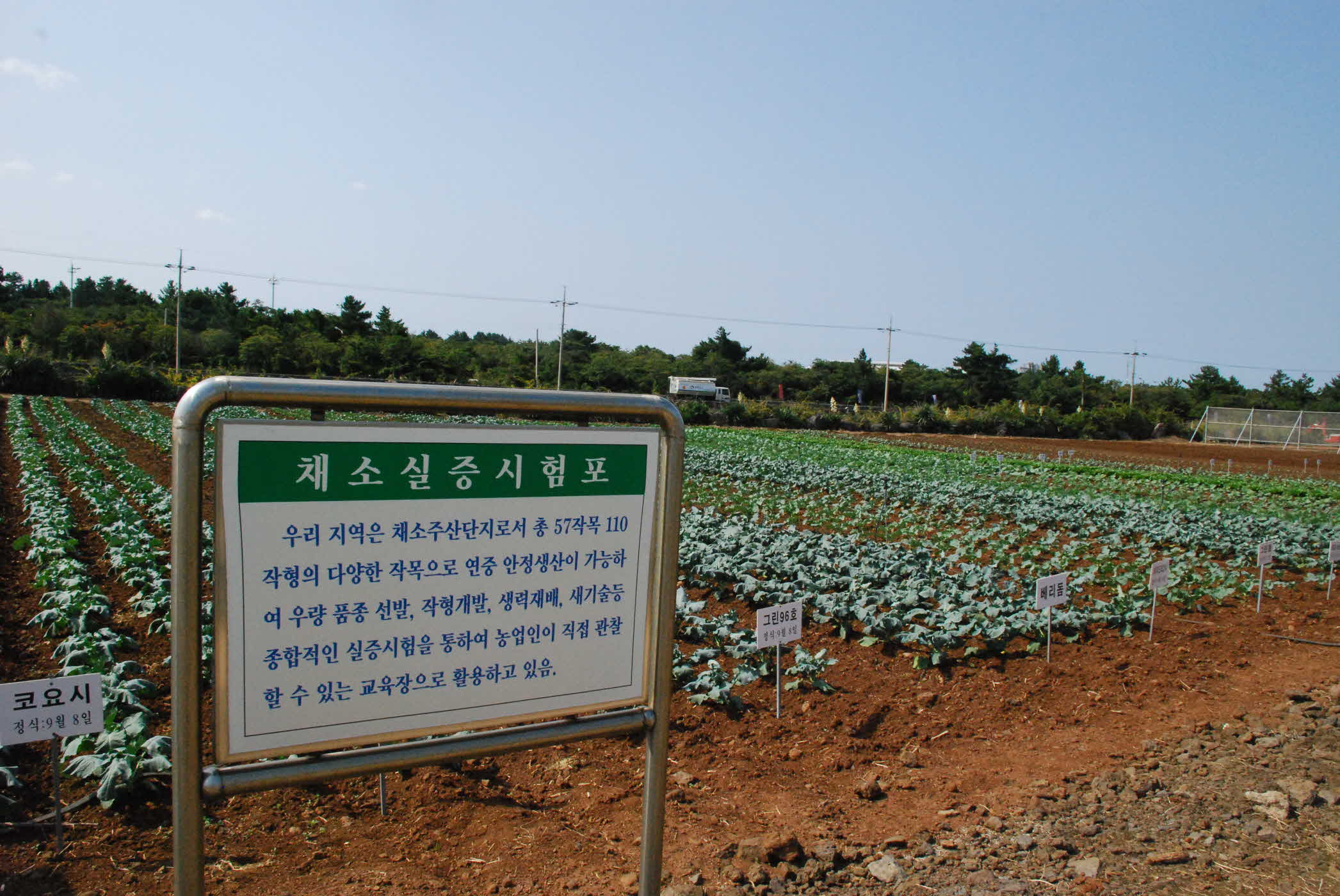 도내 농업현장 견학3