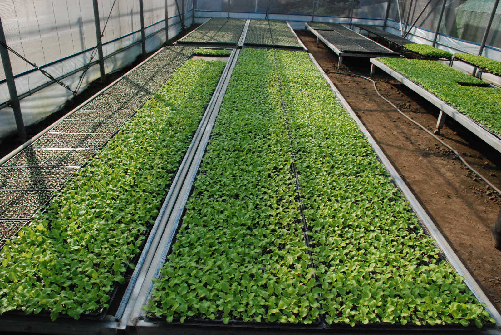 도내 농업현장 견학4