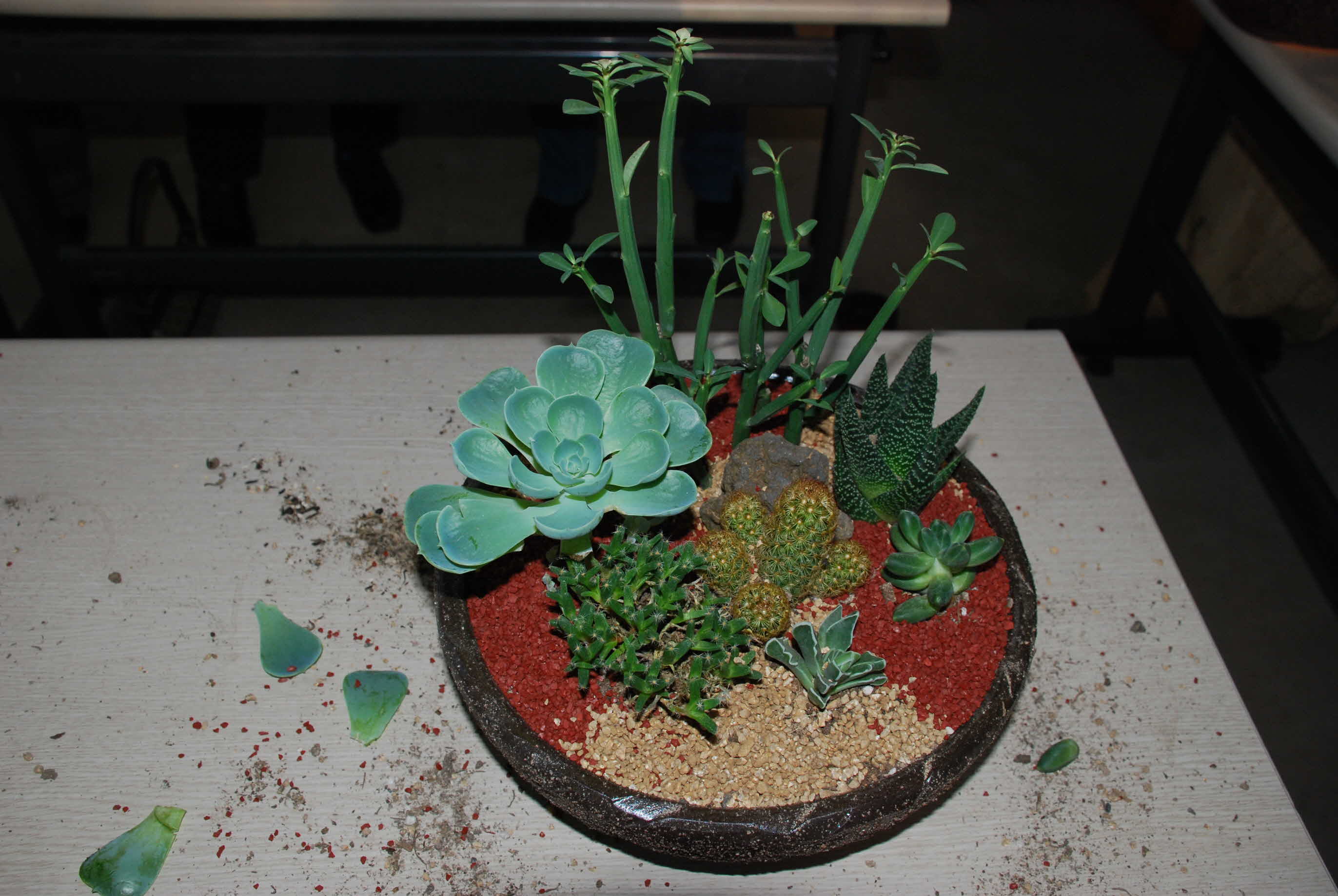 가정원예활동생활화교육