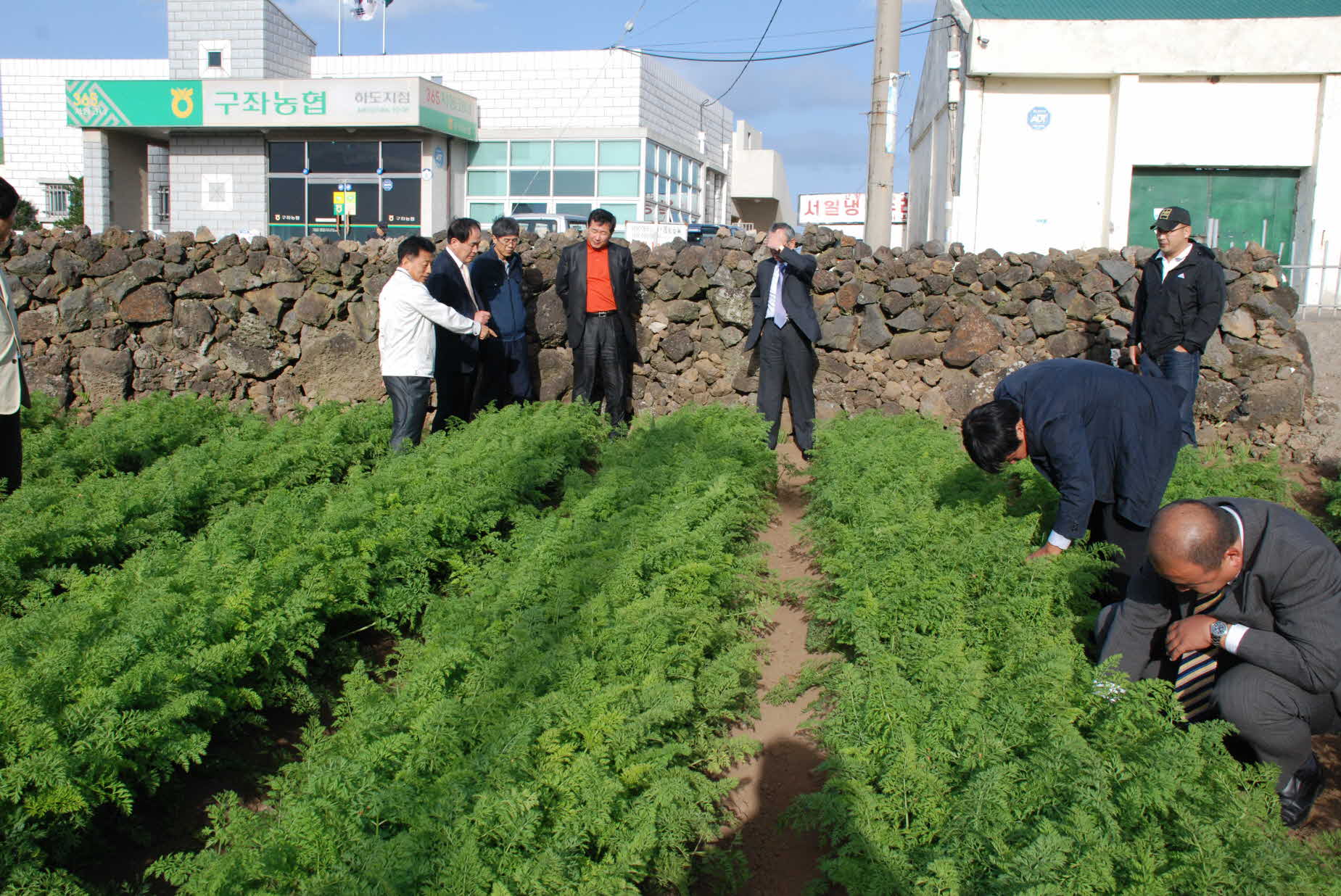 일본씨앗테이핑 관계자 방문