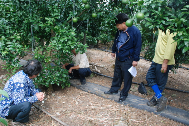 강소농 컨설팅 현장