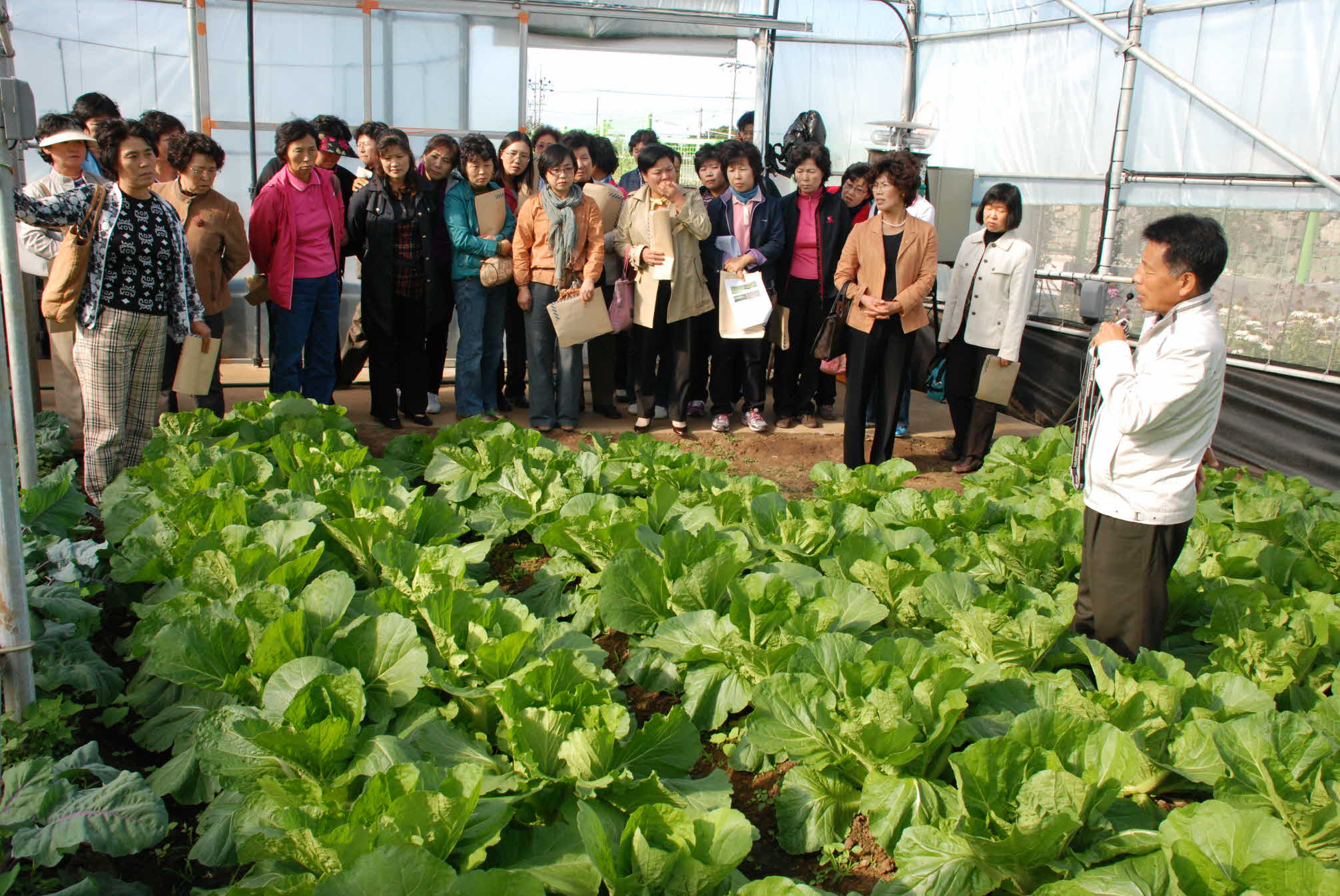 도생활개선회대의원센터방문