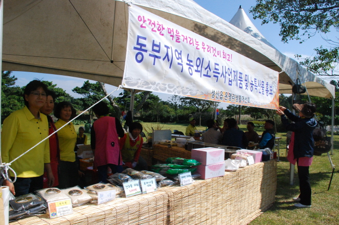 성산읍 온평리 혼인지 마을 축제