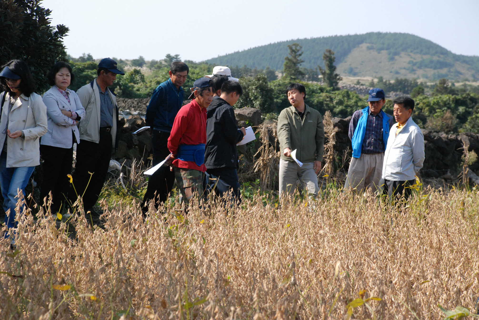 원광콩 씨앗테이핑 파종 실증 평가회
