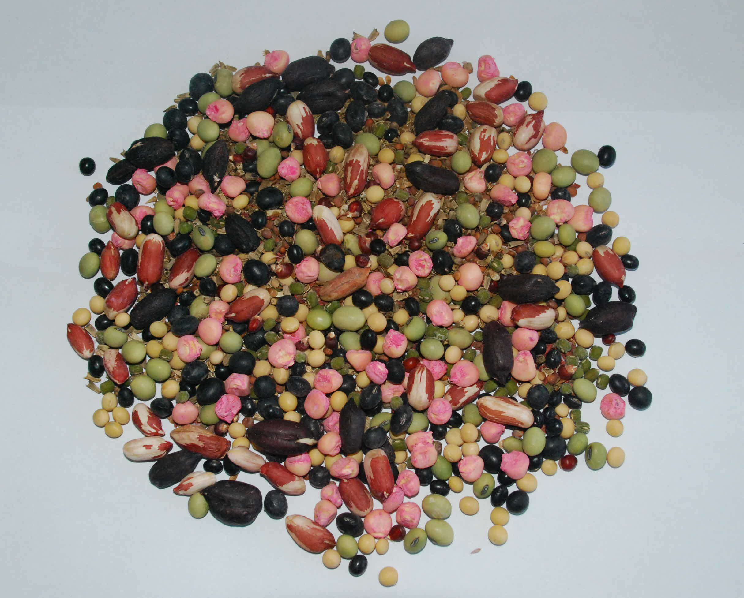 2009 센터 보급 및 실증 종자 모둠