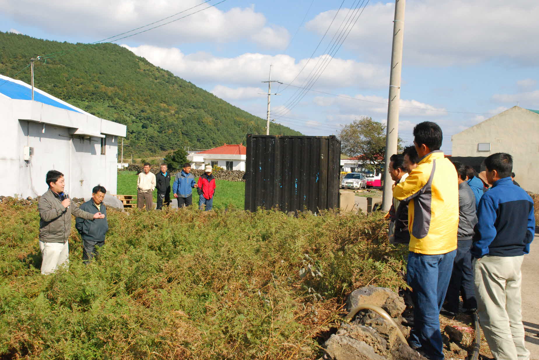 09년 농촌지도사업평가회 - 고사리 시범재배 포장
