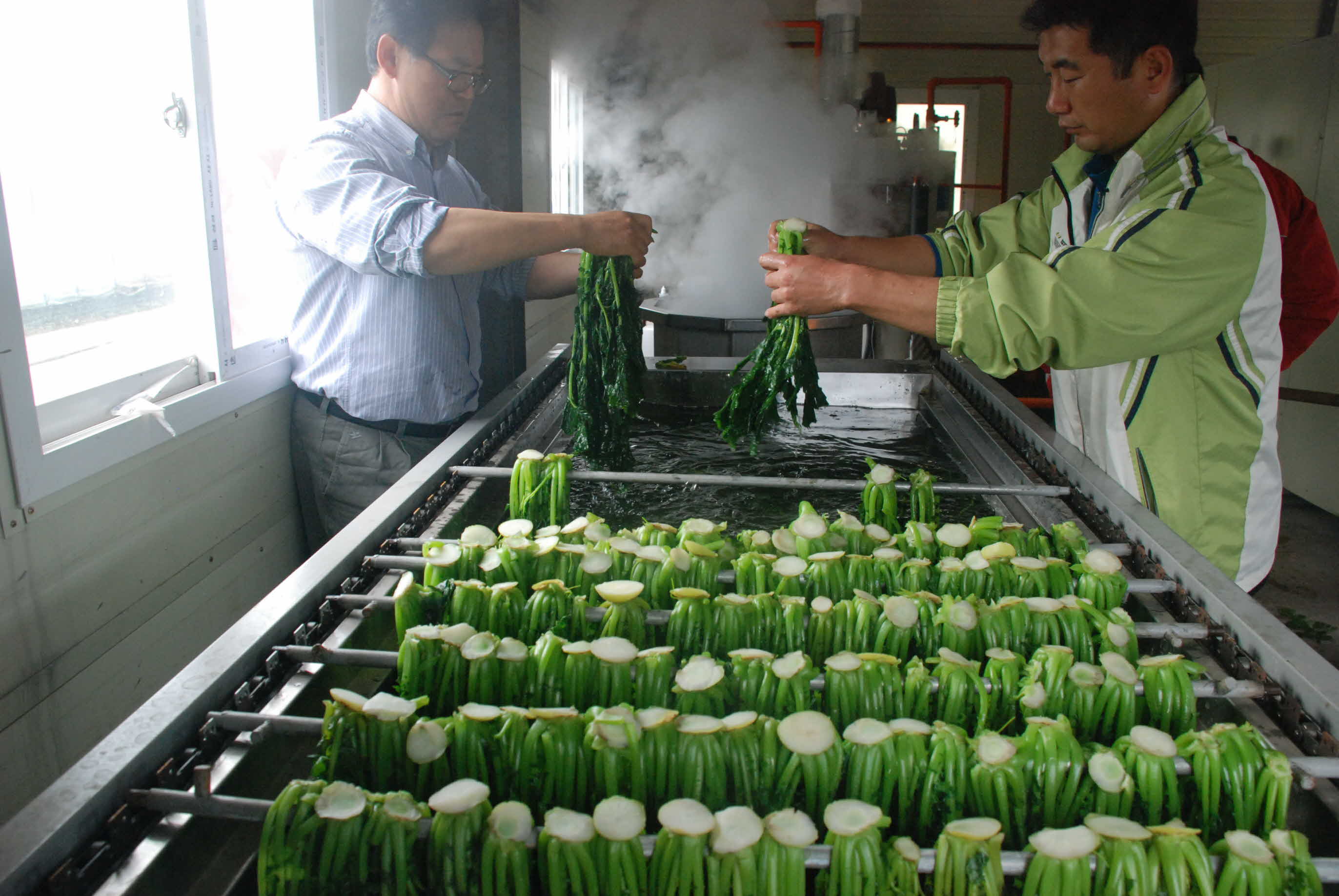 무시래기 삶는 기계 가동!!