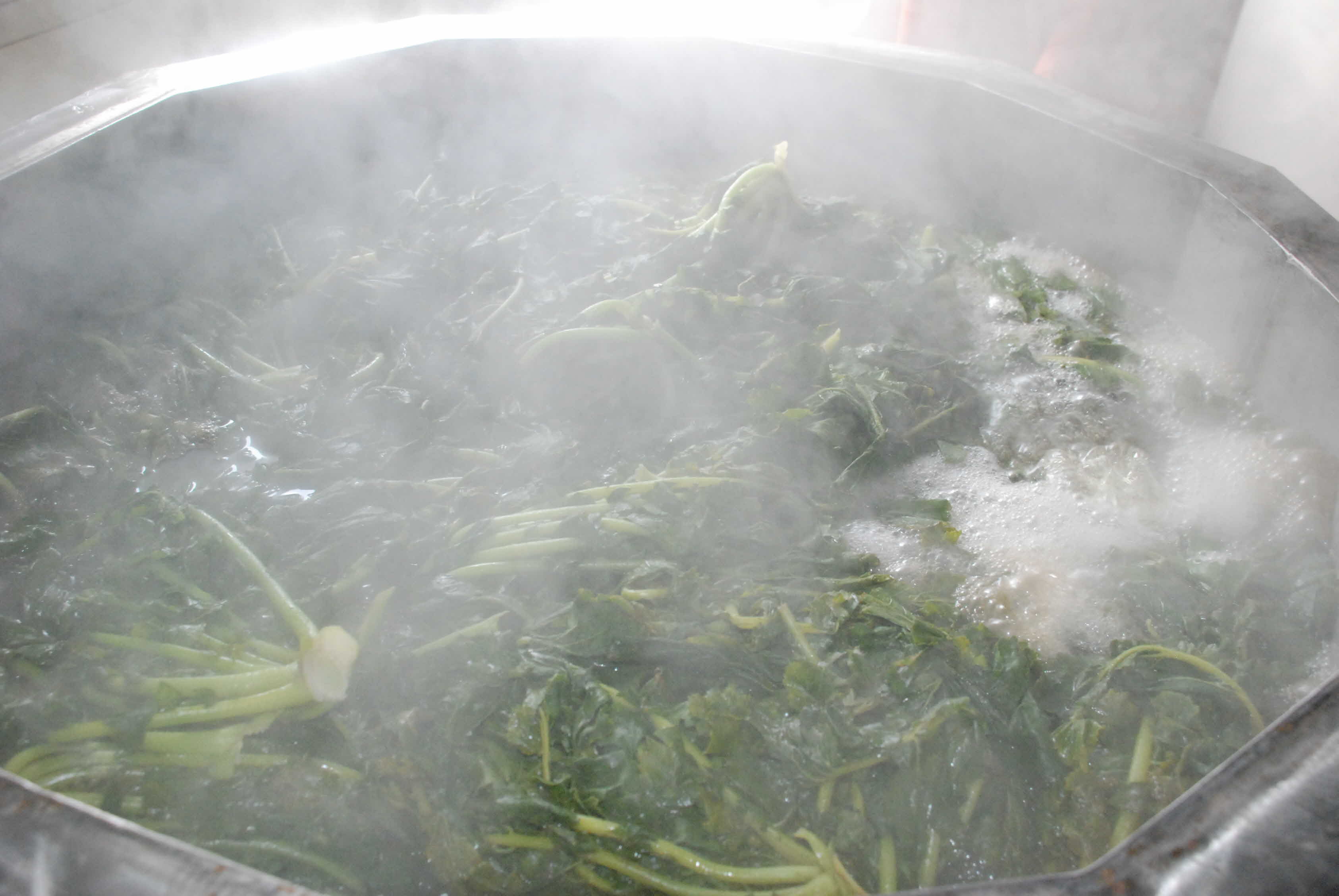 동부센터 개발 농기계3