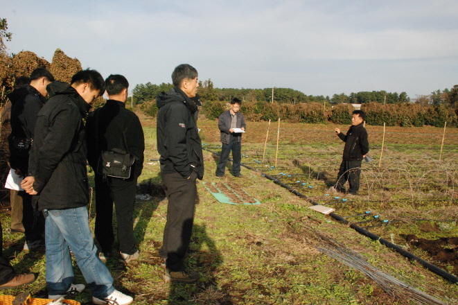 더덕 실증재배 평가회