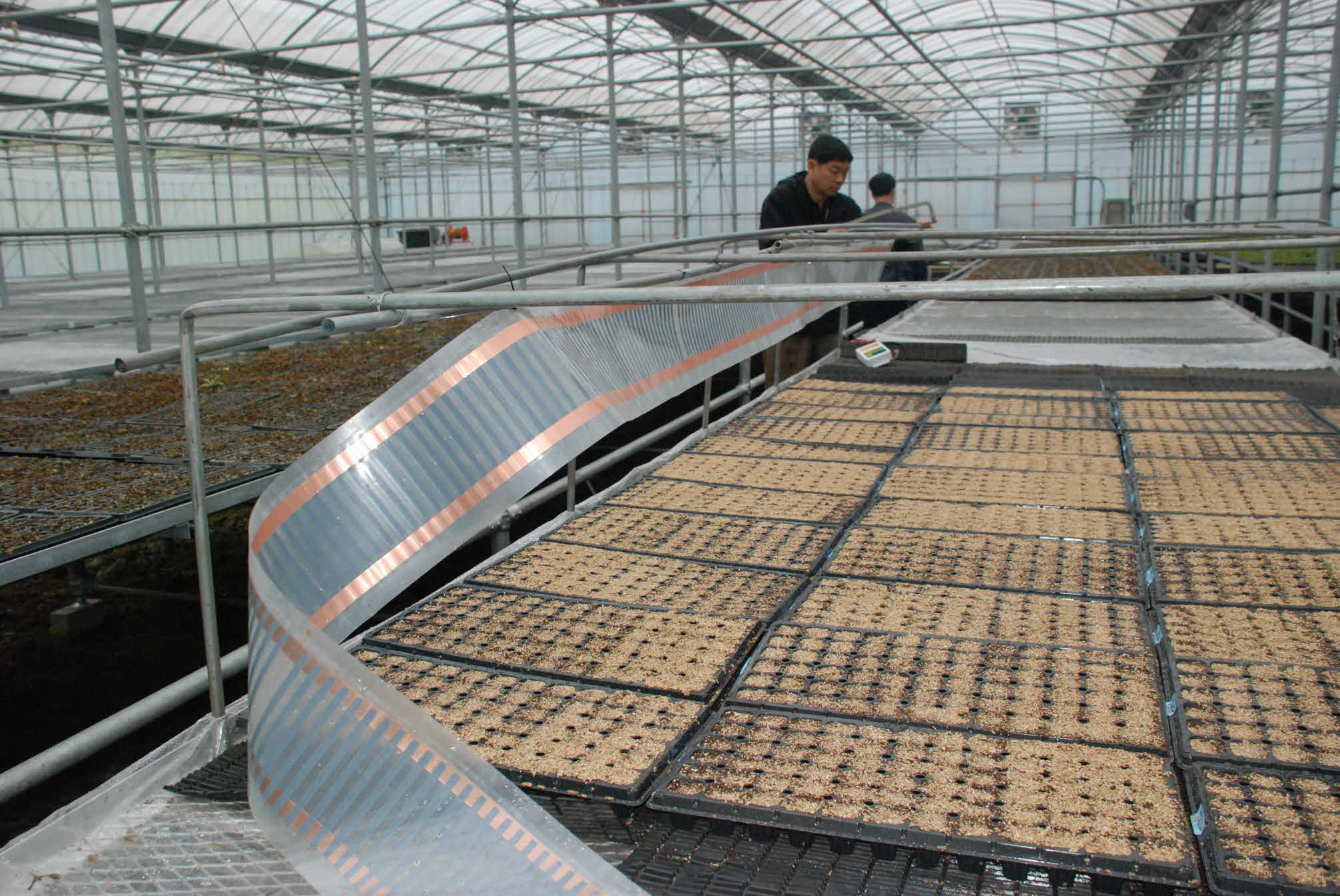 시설채소 온상육묘 준비....