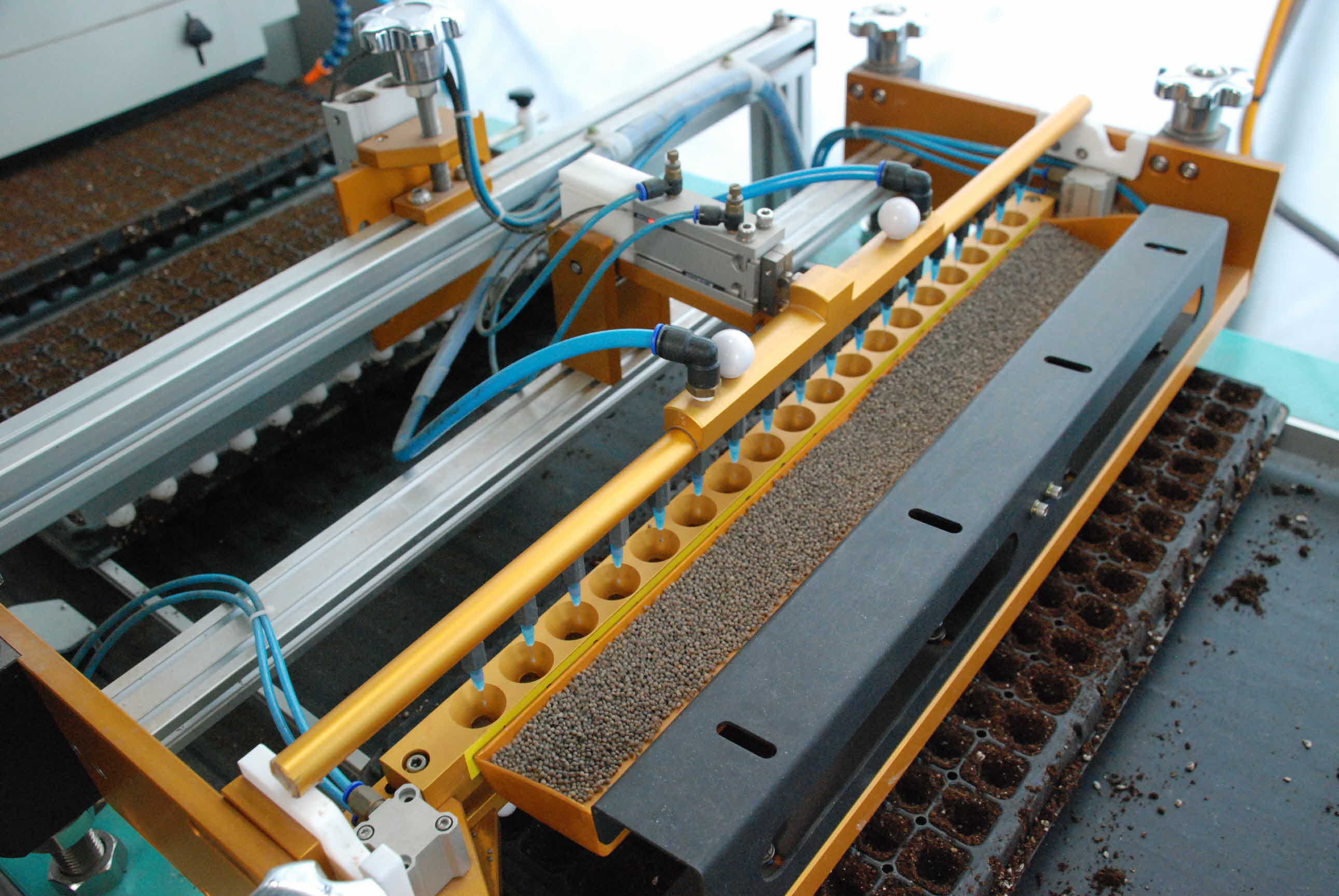 깻잎 육묘 파종 현장