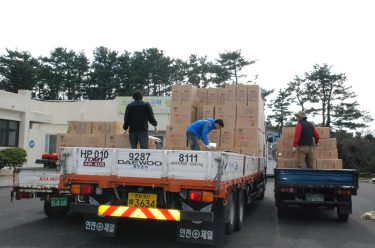 고사리 종근 보급