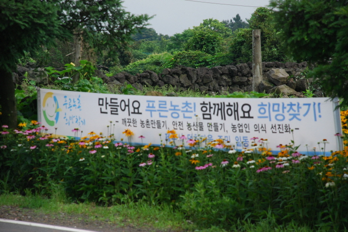 푸른농촌 희망찾기 마을 꽃길조성....