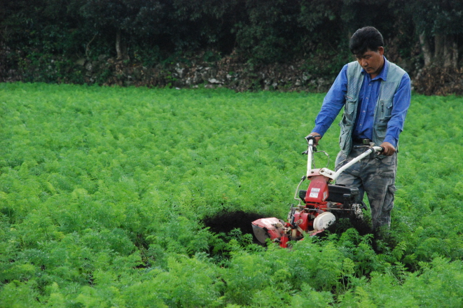 당근 중경 현장