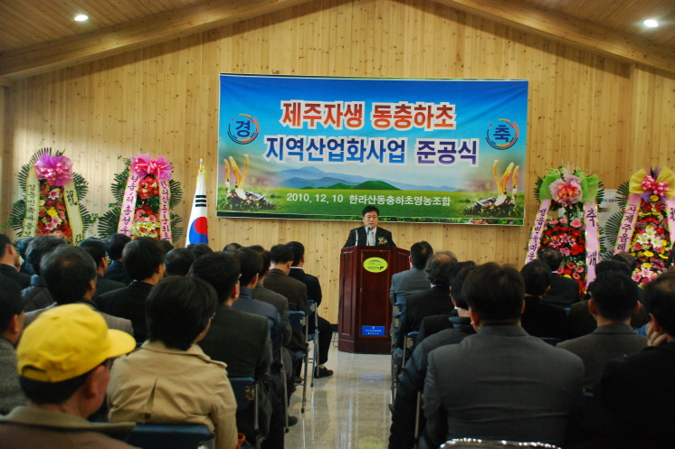 한라산 동충하초 본격 가공 시작!!