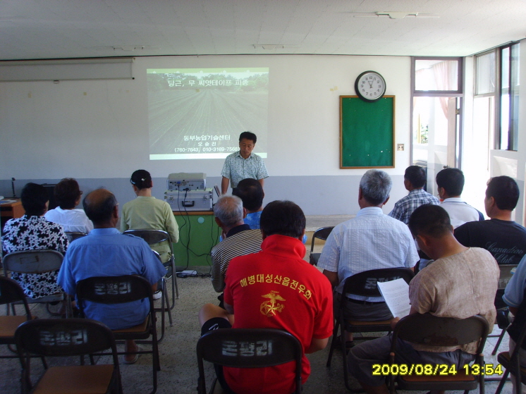 당근,무 씨앗테이핑농법교육