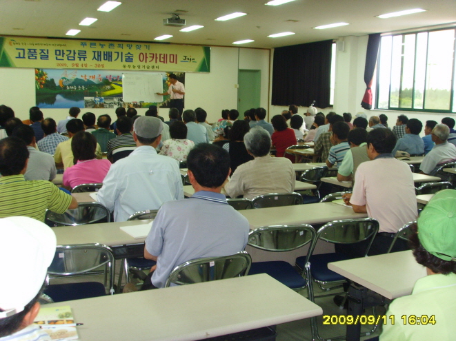 고품질 만감류 재배기술  2차교육