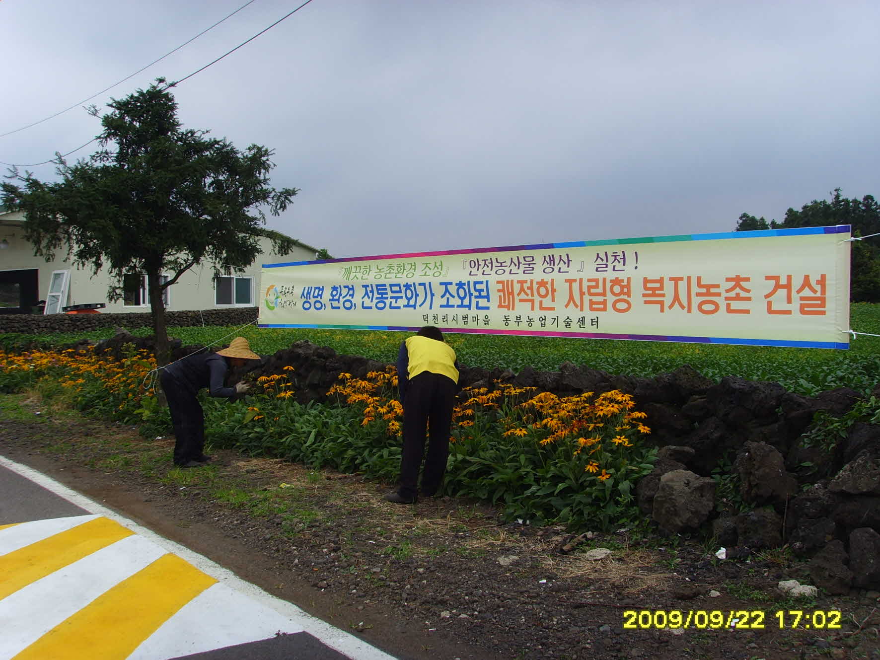 푸른농촌 희망찾기 시범마을 조성