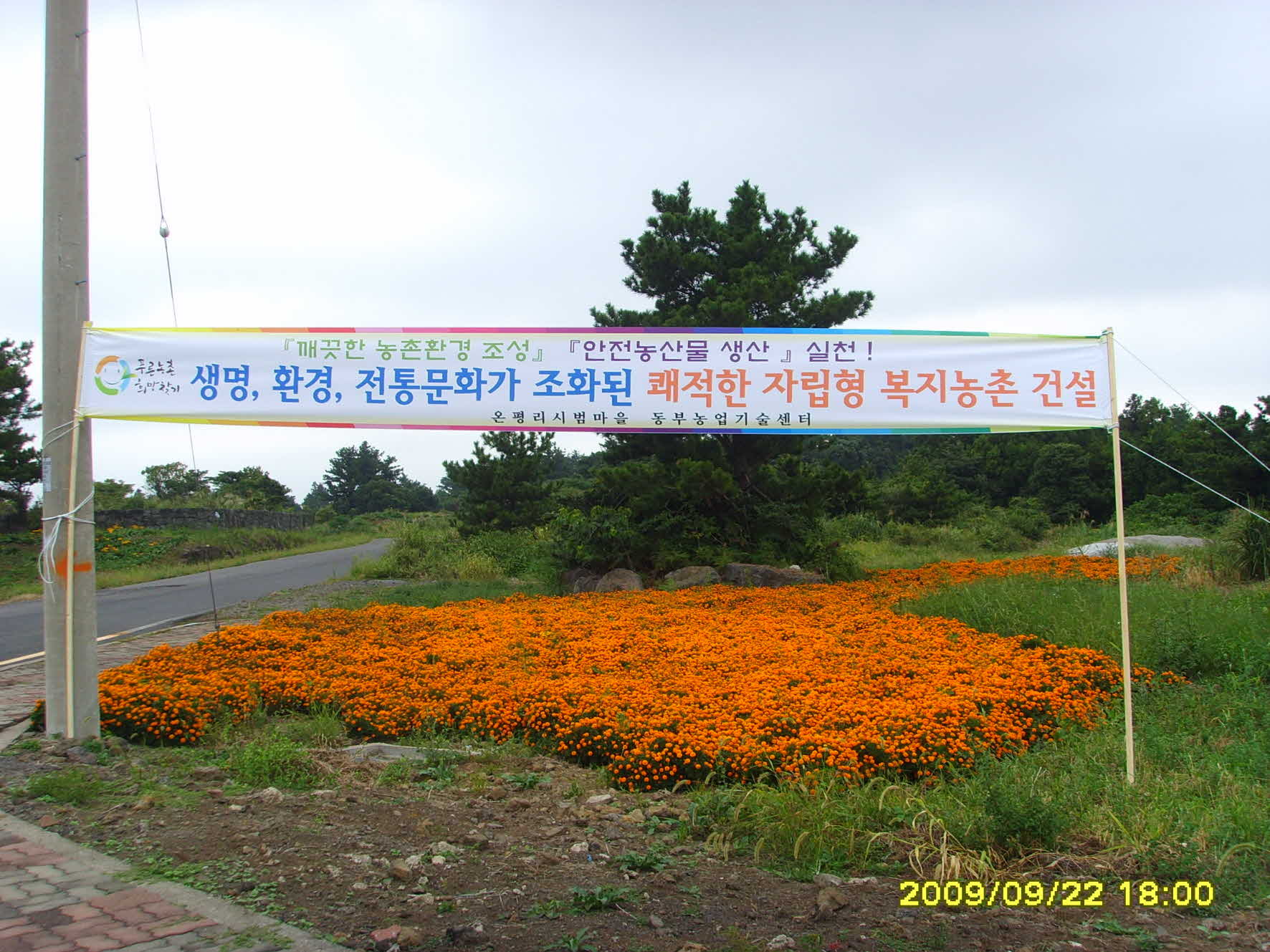 푸른농촌 희망찾기 시범마을 조성현장