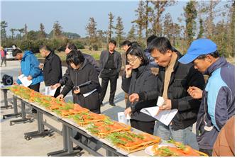 당근품종 비교 실증사업 평가회