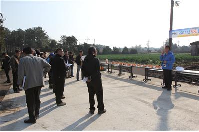 당근품종 비교 실증사업 평가회