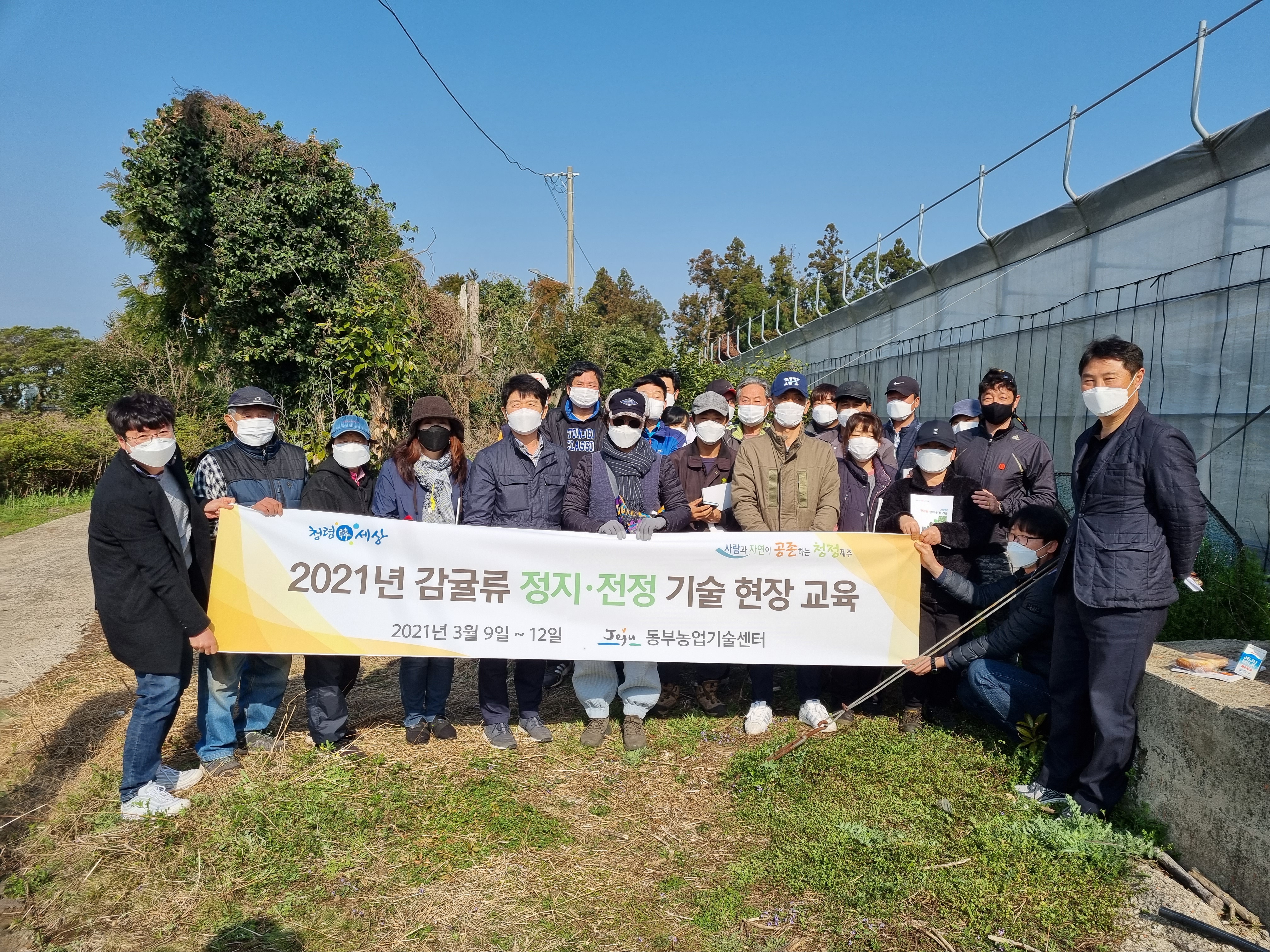 2021년 감귤류 정지 전정 현장 교육( 6회, 3/9~3/12)