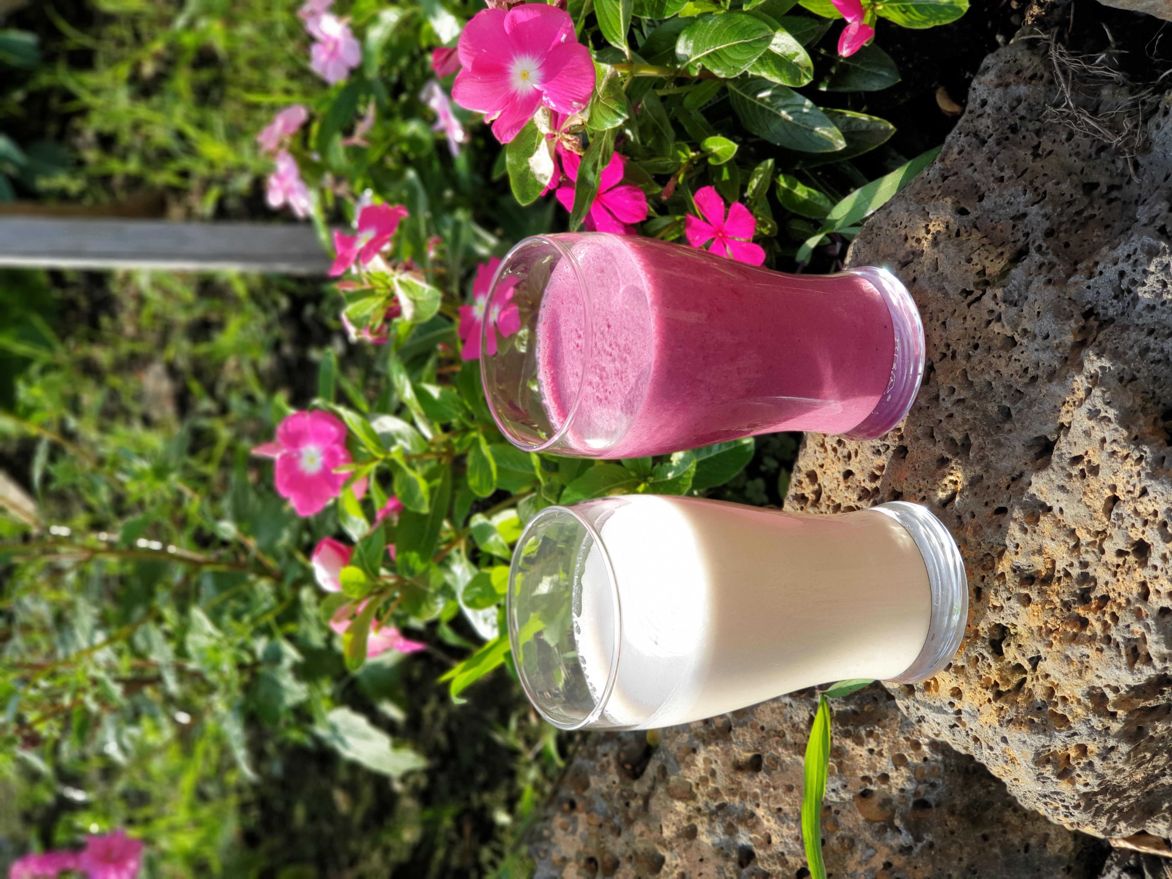 2020년 로컬푸드를 활용한 생활속 디톡스 교육(6.22~6.23)