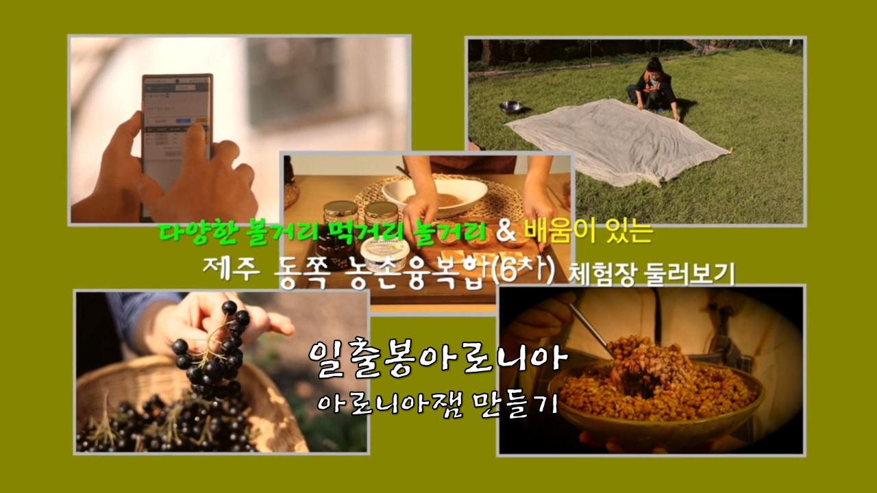 비대면 홍보 체험 행사(아로니아 잼 만들기)