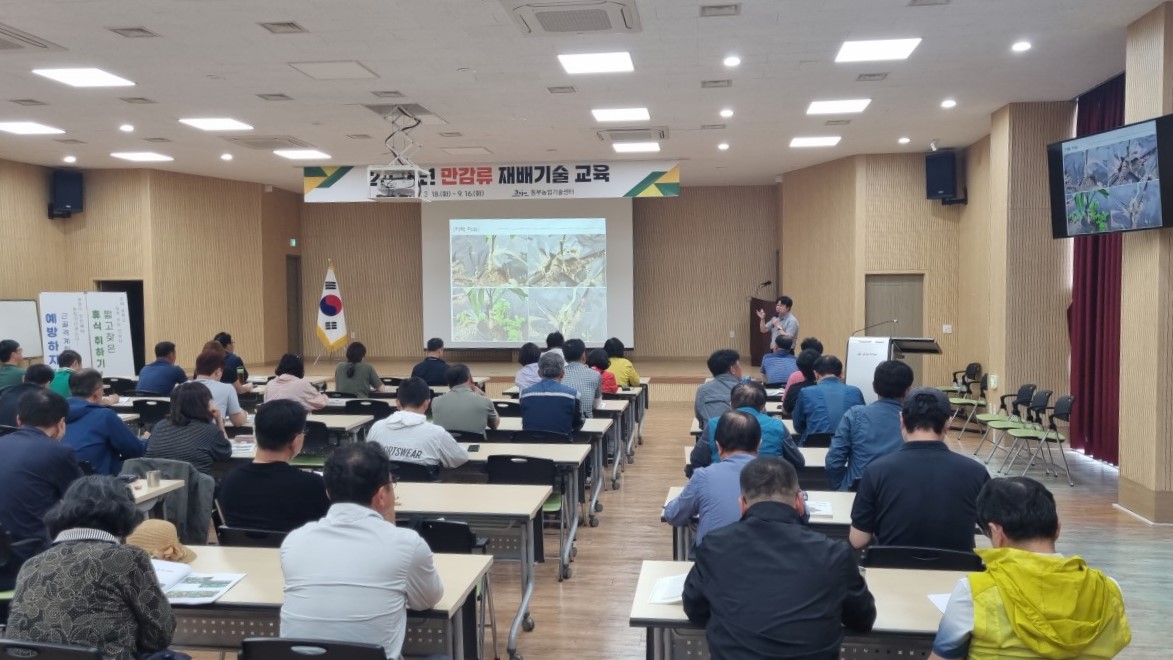 2025년 만감류 재배기술 교육(2회차)