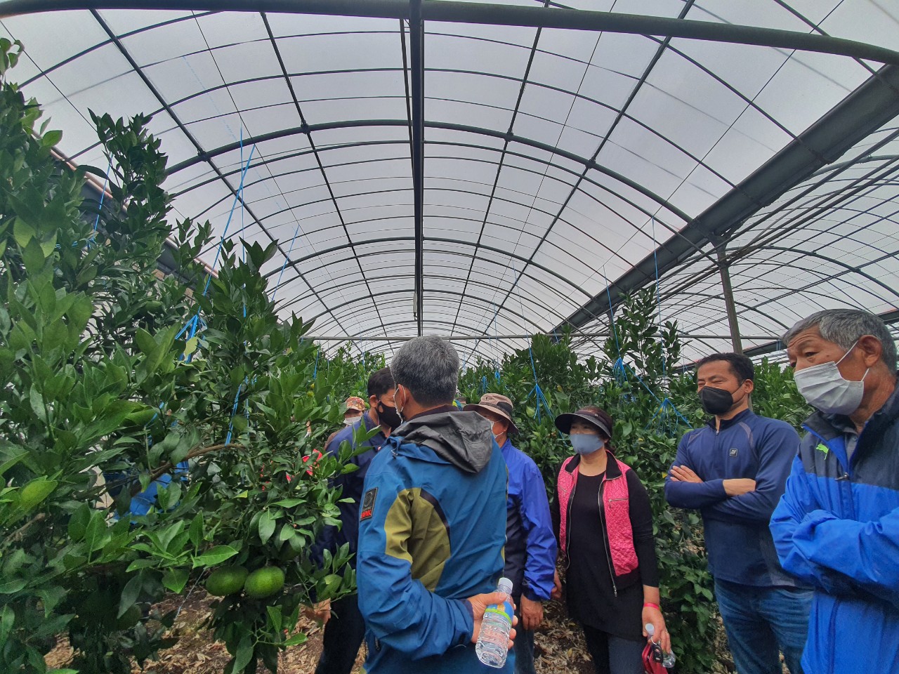 한경농협 만감류 공선회 컨설팅