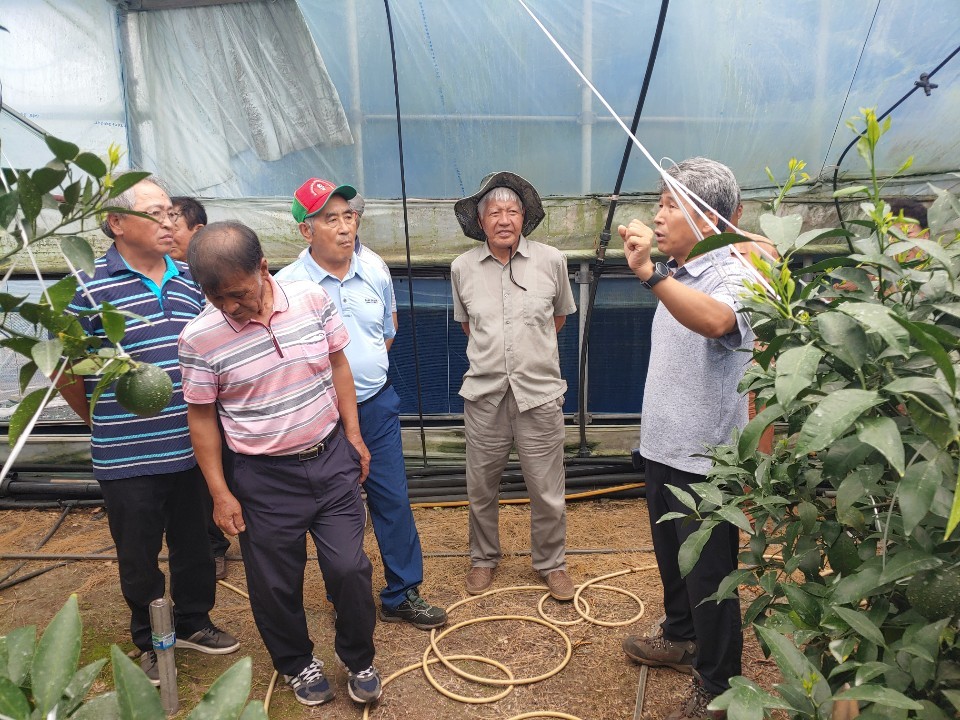 탑한라봉연구회 컨설팅