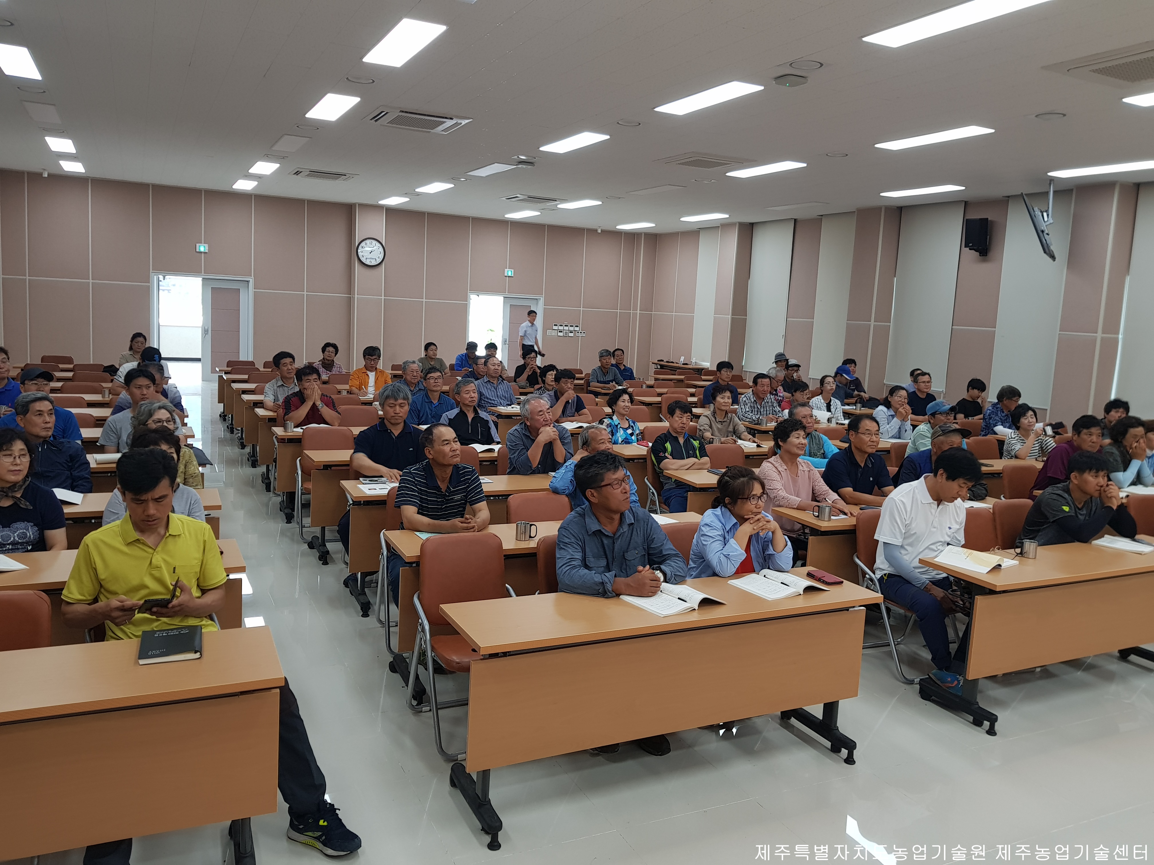 2018 노지감귤 여름전정 교육