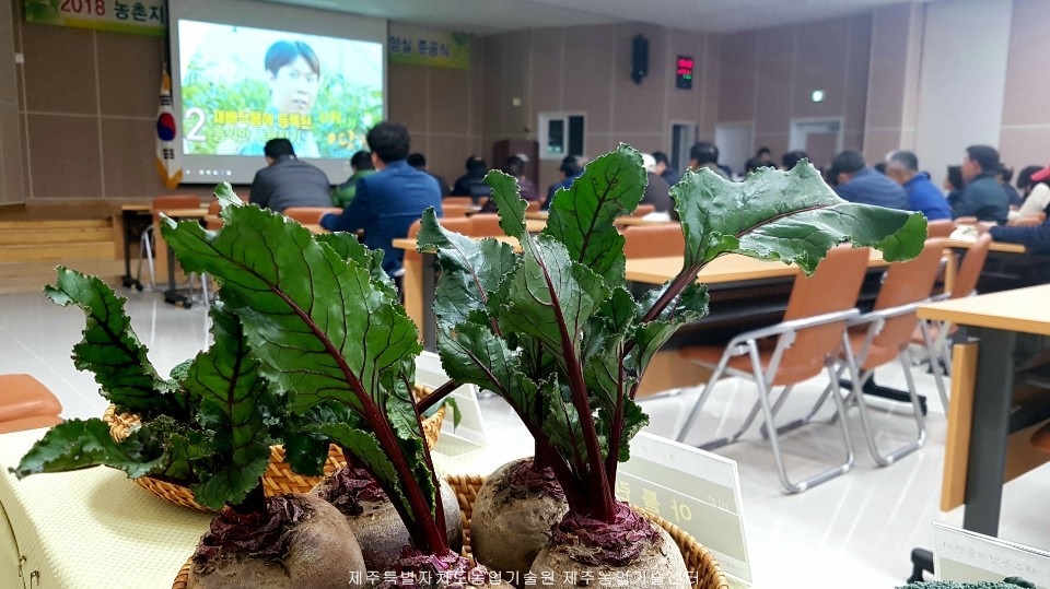 2018 농촌지도사업 종합평가회 및 농업미생물배양실 준공식