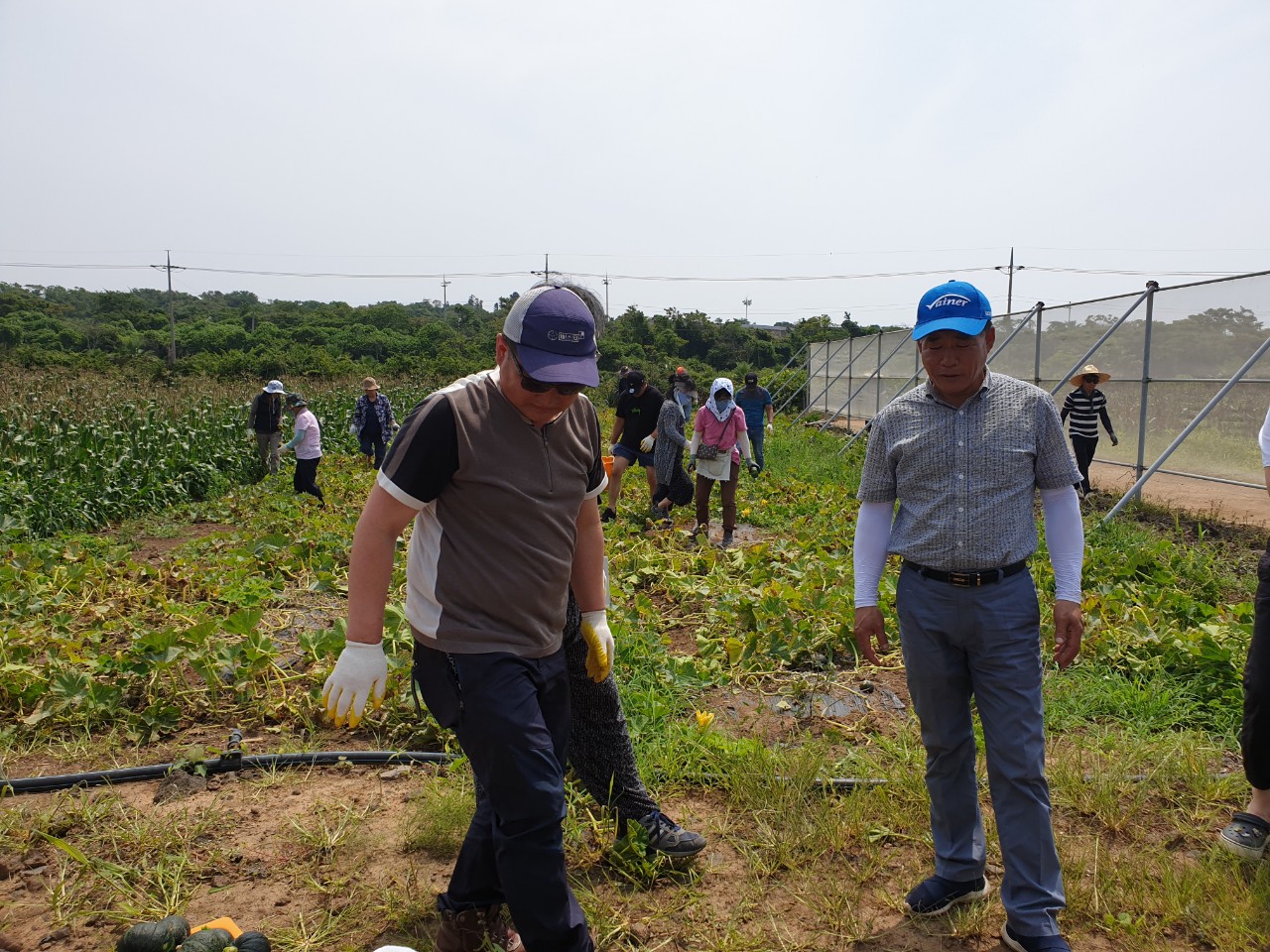 고봉철과장님의 열정에 감사드립니다.