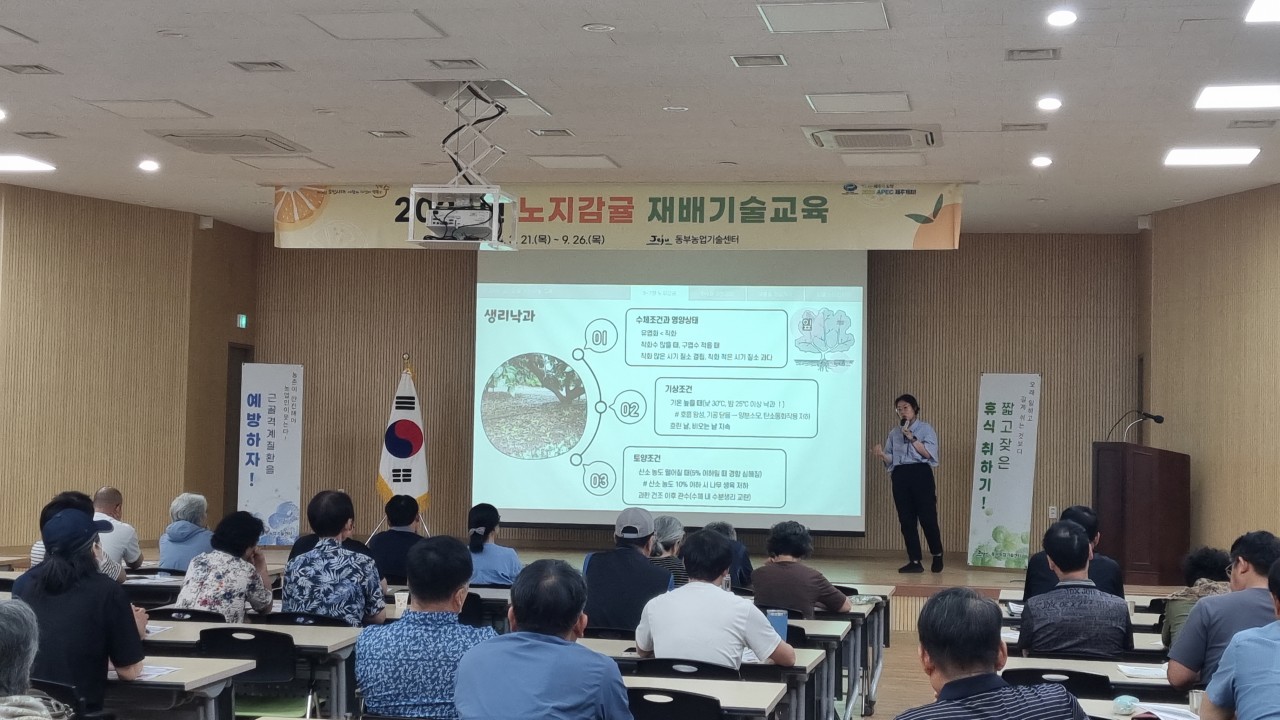 2024년 노지감귤 재배기술 교육(3회차)