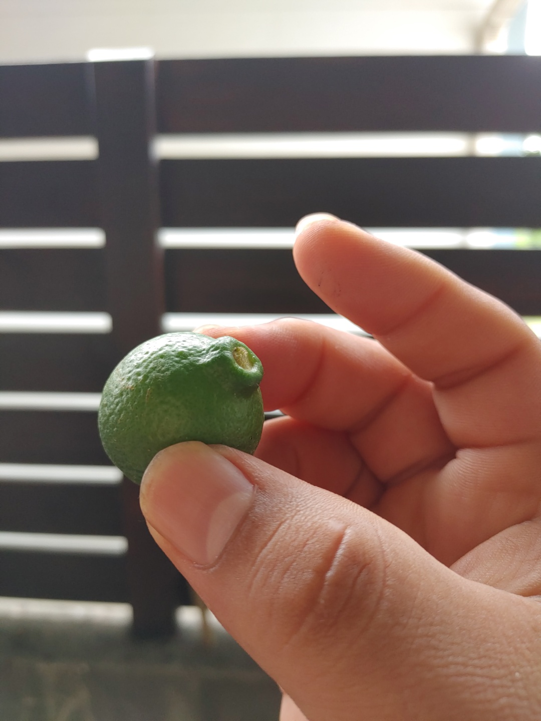 사진과 같은 현상이 일어나는 정확한 이유가 궁금합니다