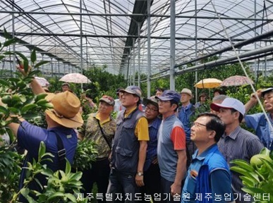 품목별농업인연구회(천혜향농업인연구회) 여름전정교육