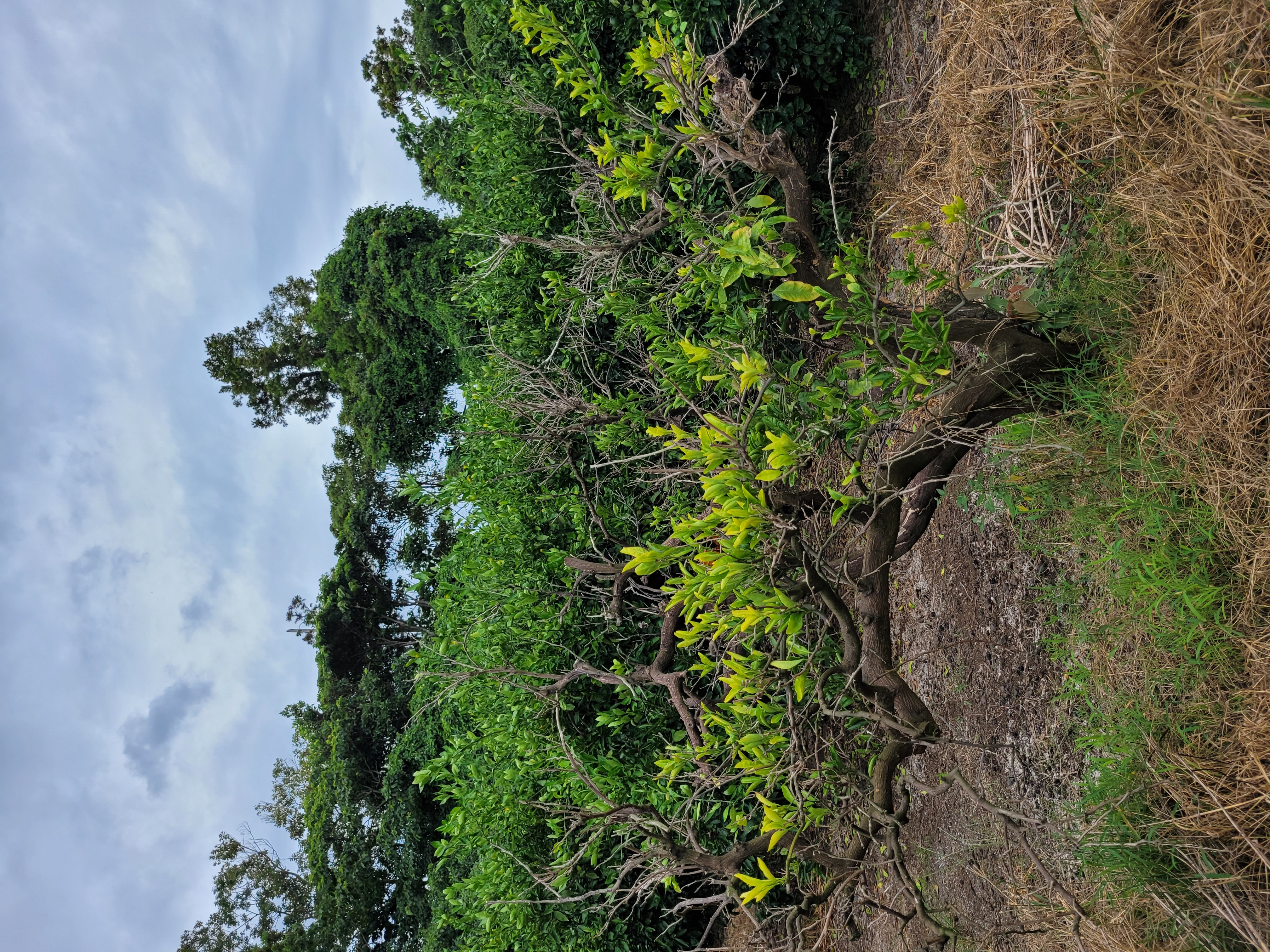 안녕하세요 문의드립니다
