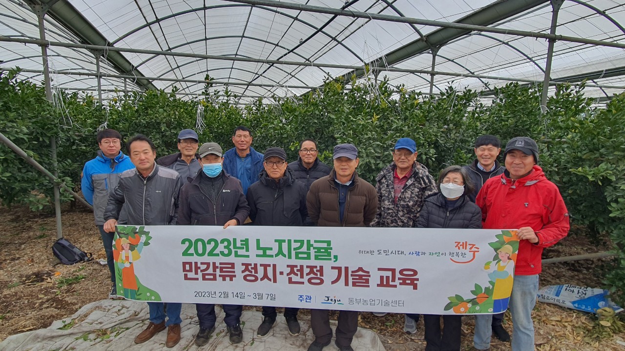 2023 노지감귤, 만감류 정지·전정 기술 교육 