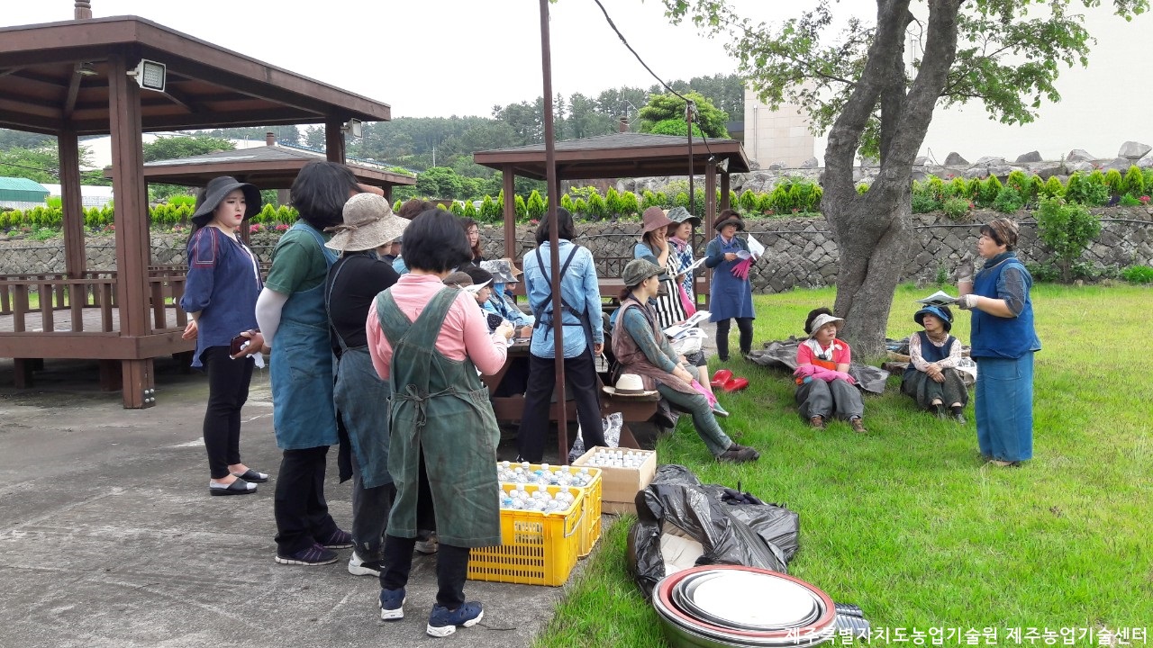 천연염색 전문가 과정 교육