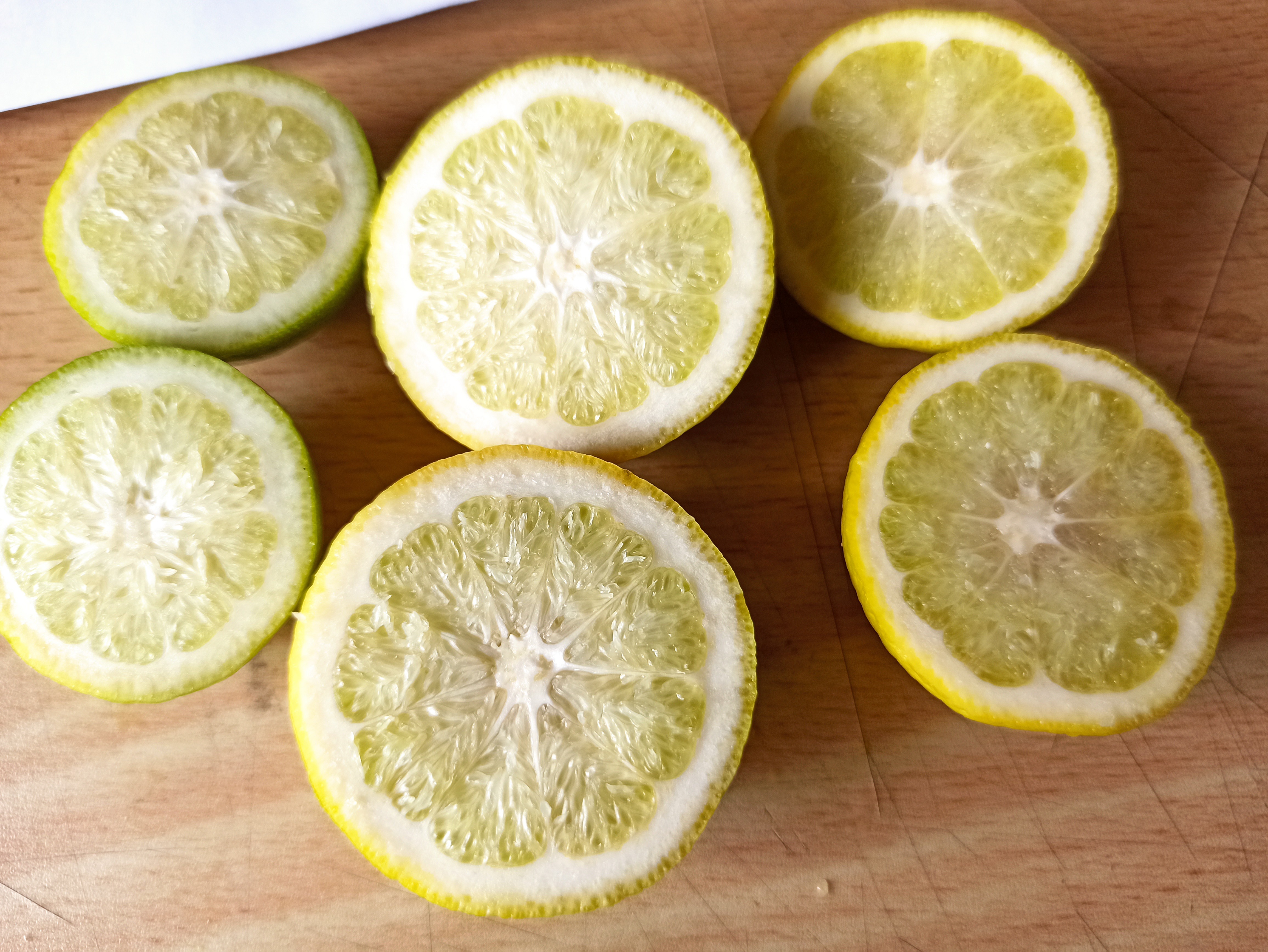 레드향 낙과 이유?