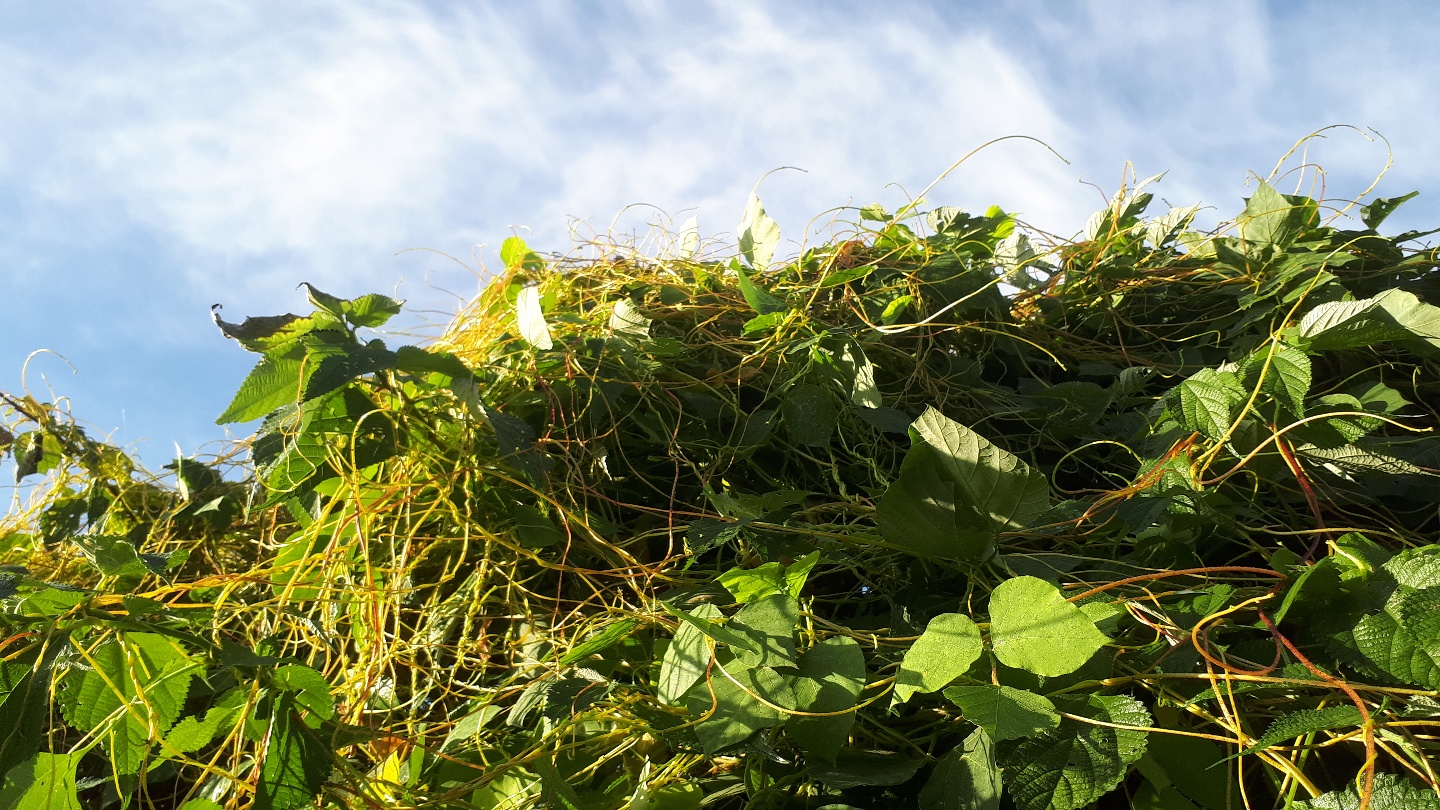 방제법을 알려주세요