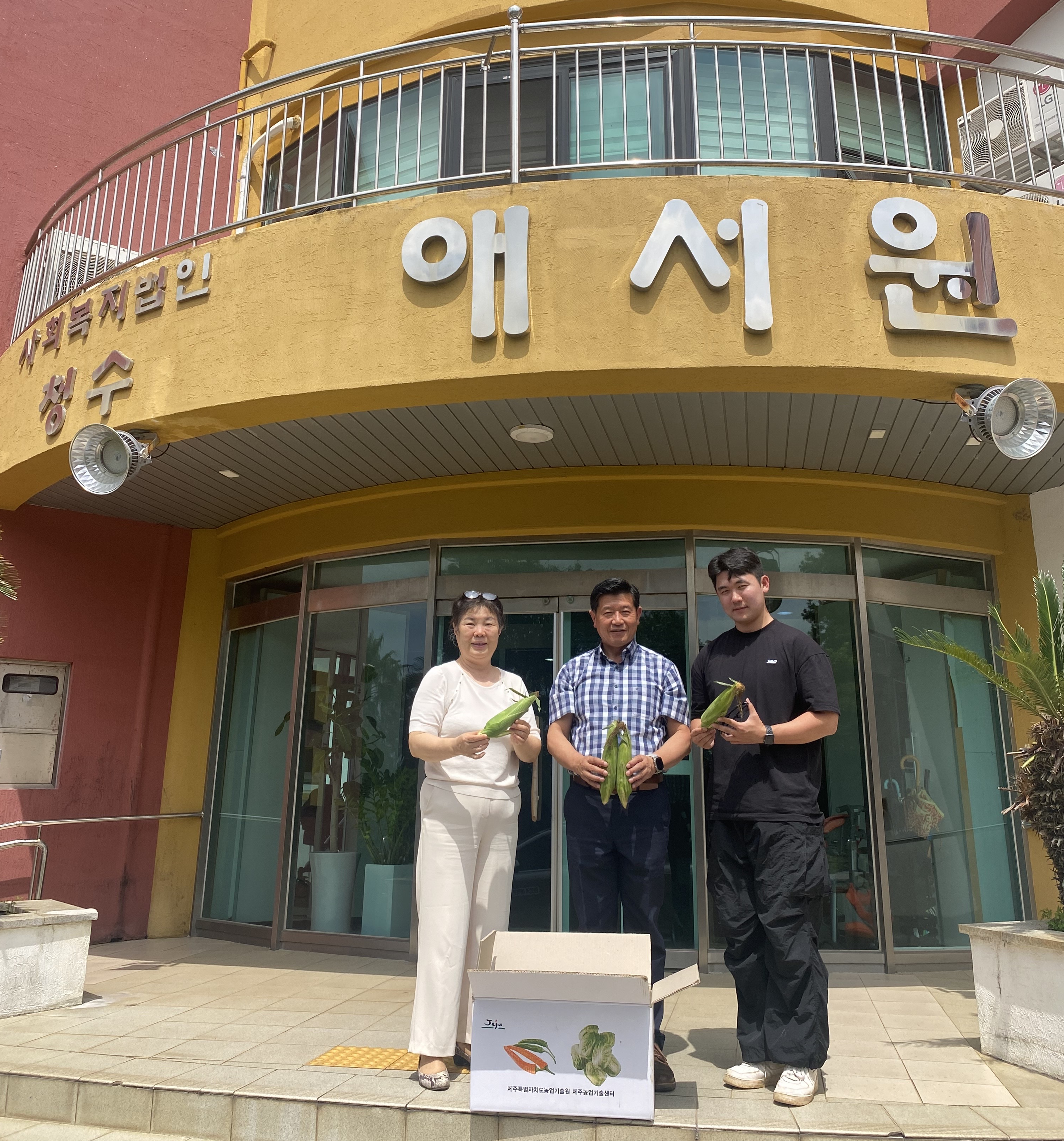 초당옥수수(실증포 수확) 나눔