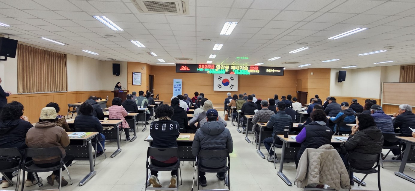 2025년 만감류 재배기술교육 (3월~4월 재배기술)